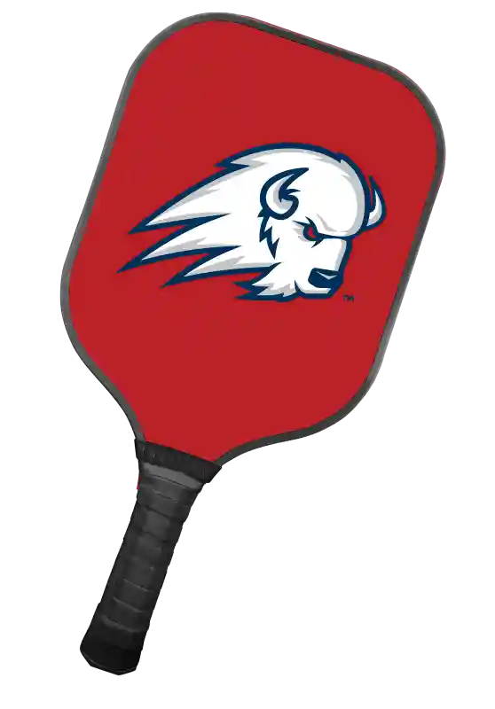 School Pickleball Paddle