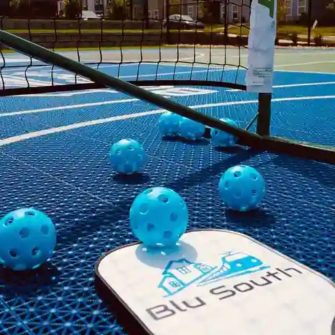 Blu South Pickleball Event